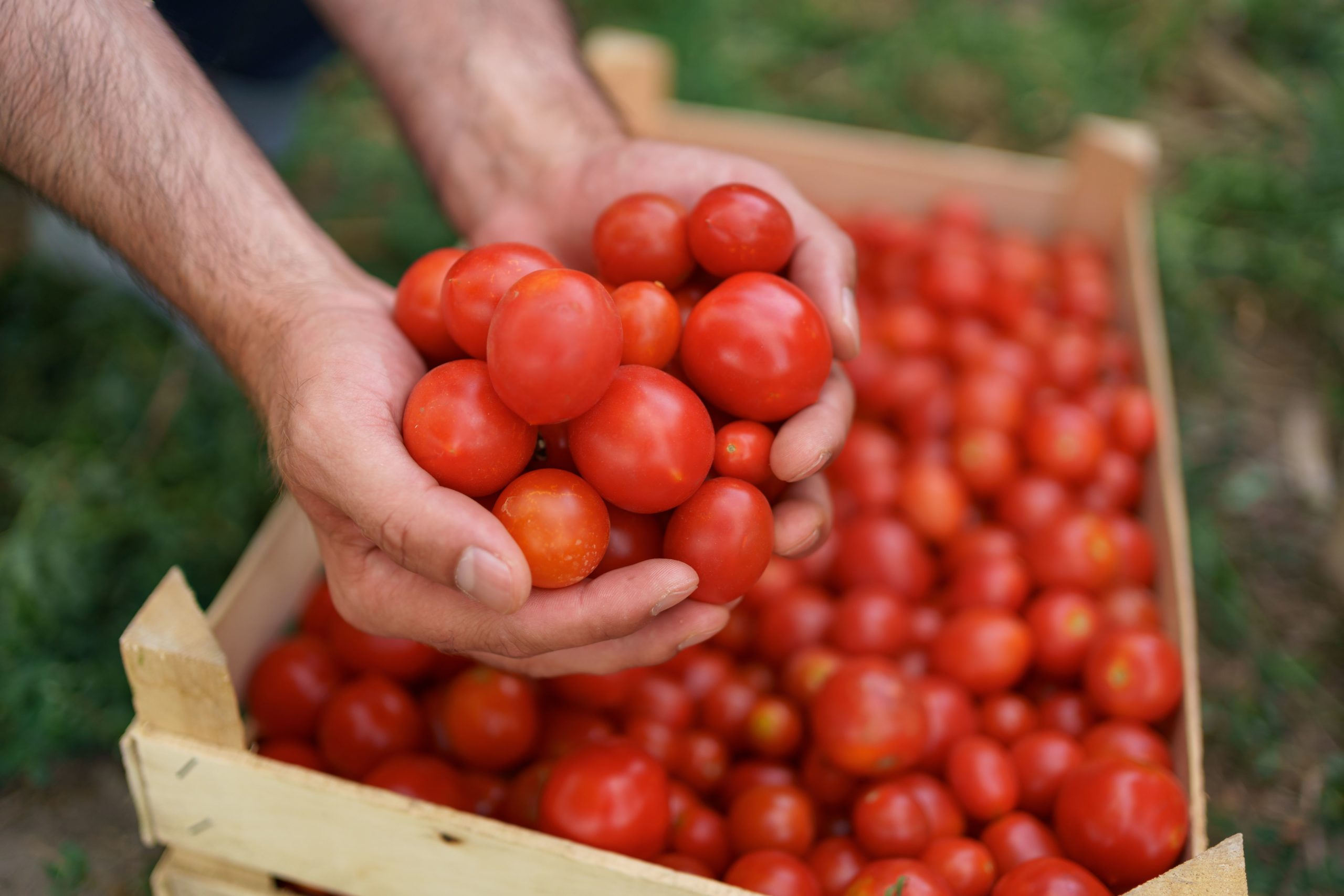 3. Fertiormont trabaja en la adaptación de sus productos a la nueva normativa europea para productos ecológicos